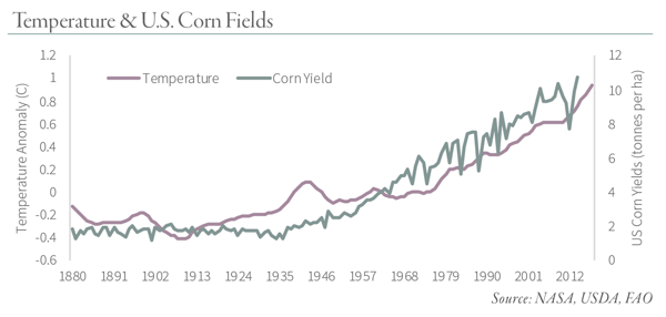 Temperature & U.S. Corn Fields Chart