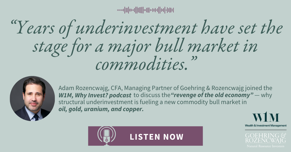 Podcast: Revenge of the Old Economy and the Return of Commodities